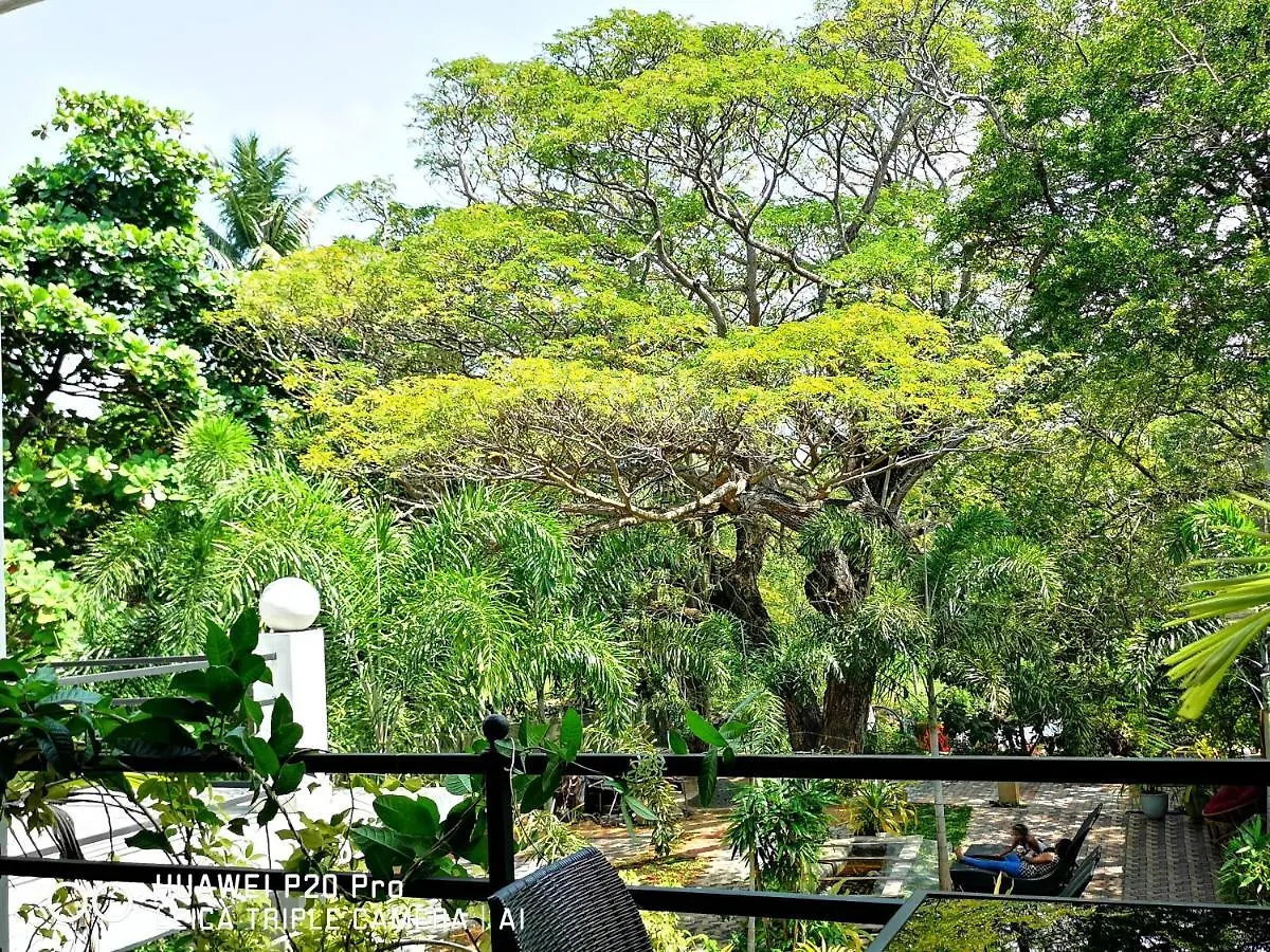 Serendib Village Guest House Negombo 3*,  Sri Lanka