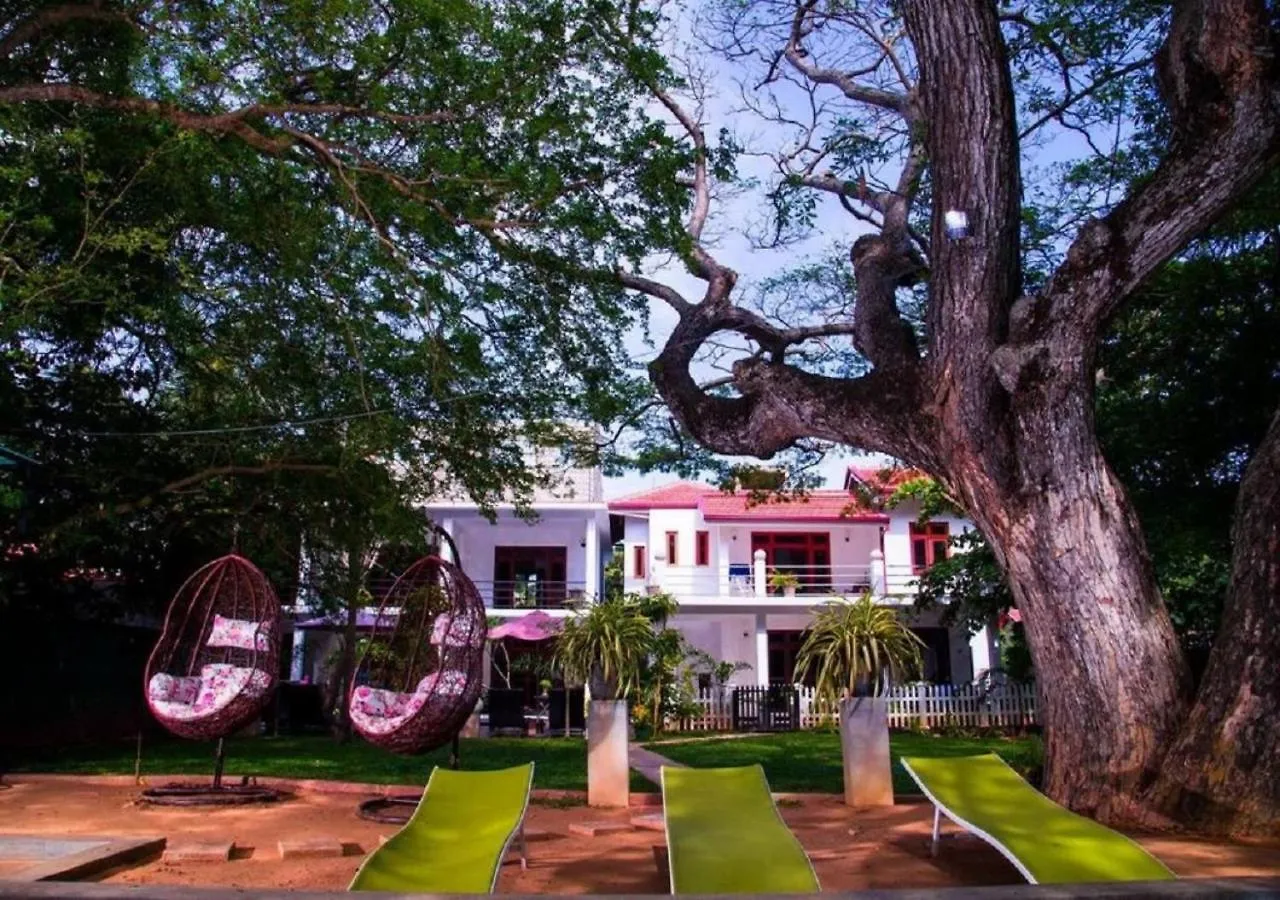 Serendib Village Guest House Negombo