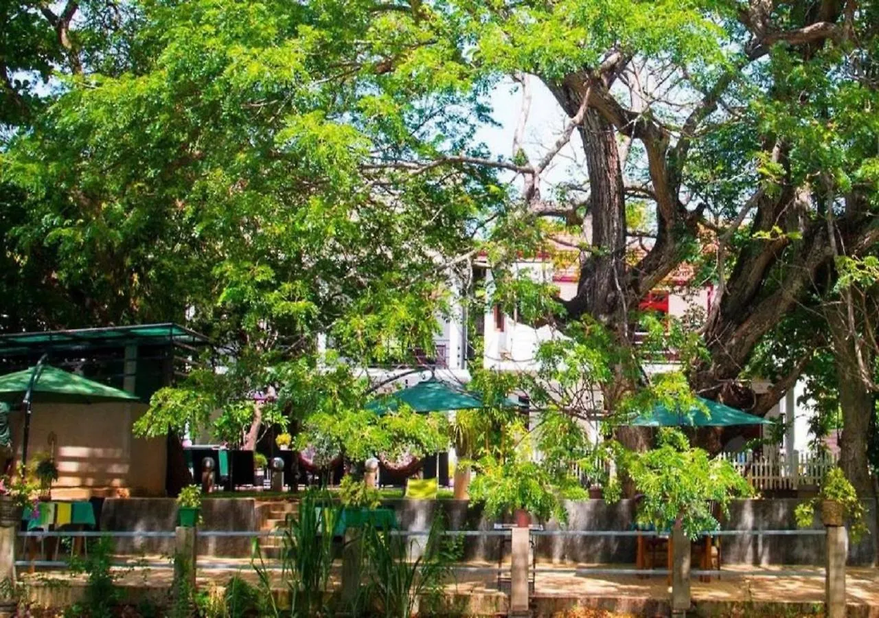 Serendib Village Guest House Negombo 3*,