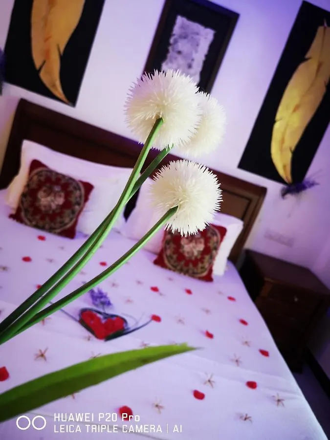 ***  Serendib Village Guest House Negombo Sri Lanka