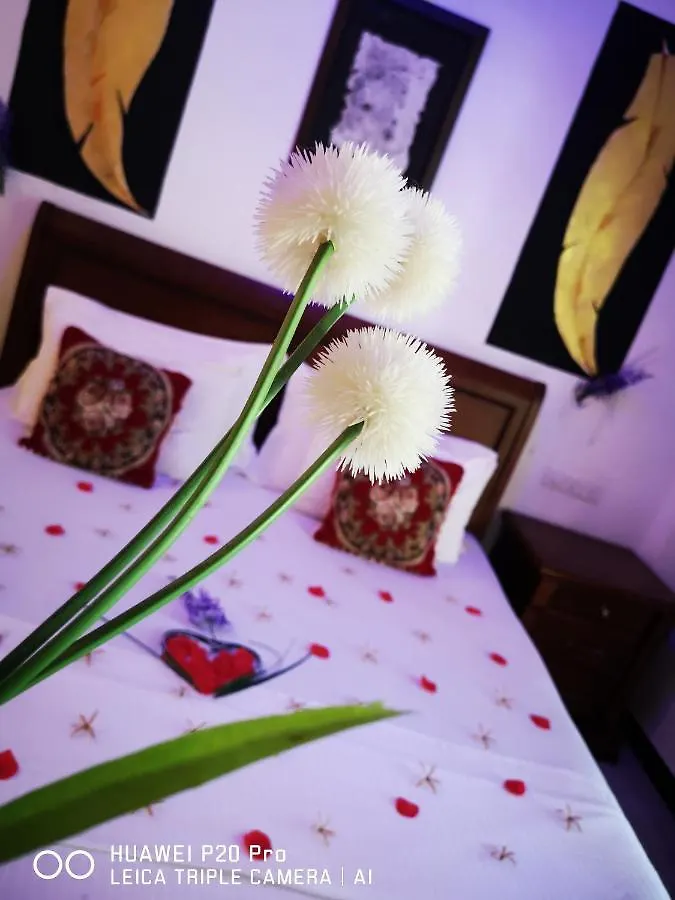 Serendib Village Guest House Negombo 3*,
