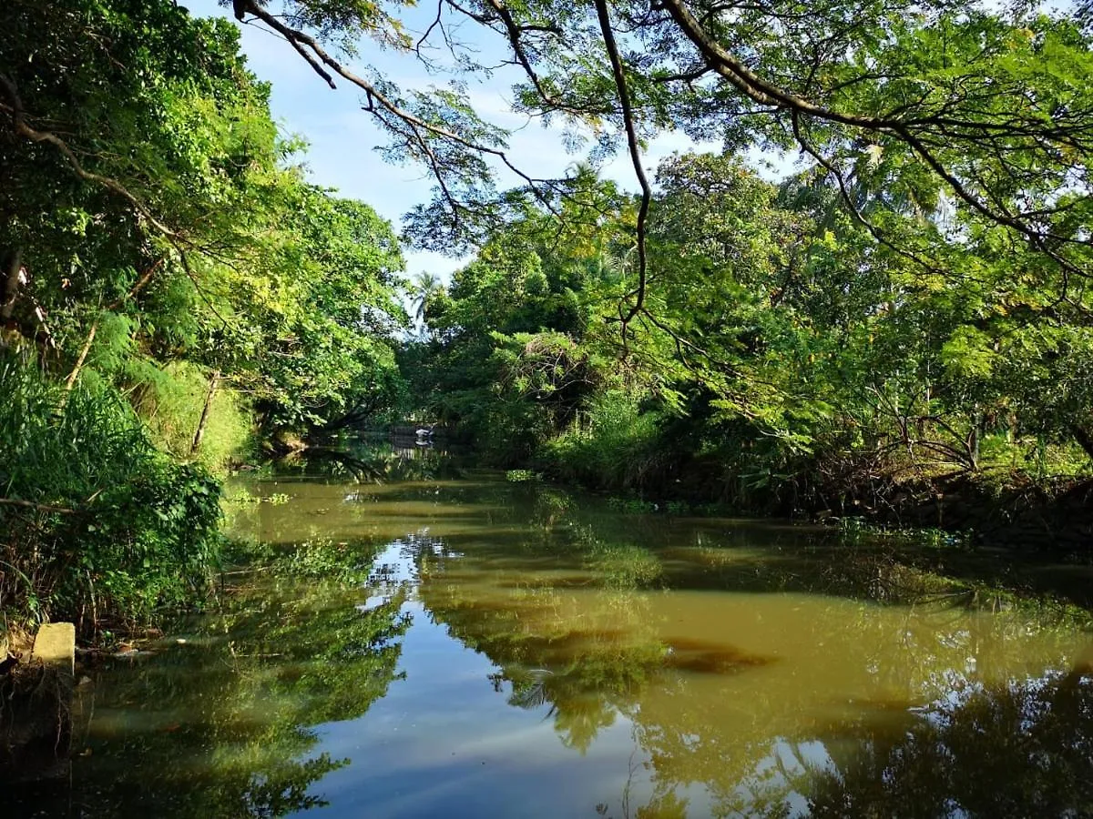 Serendib Village Guest House Negombo