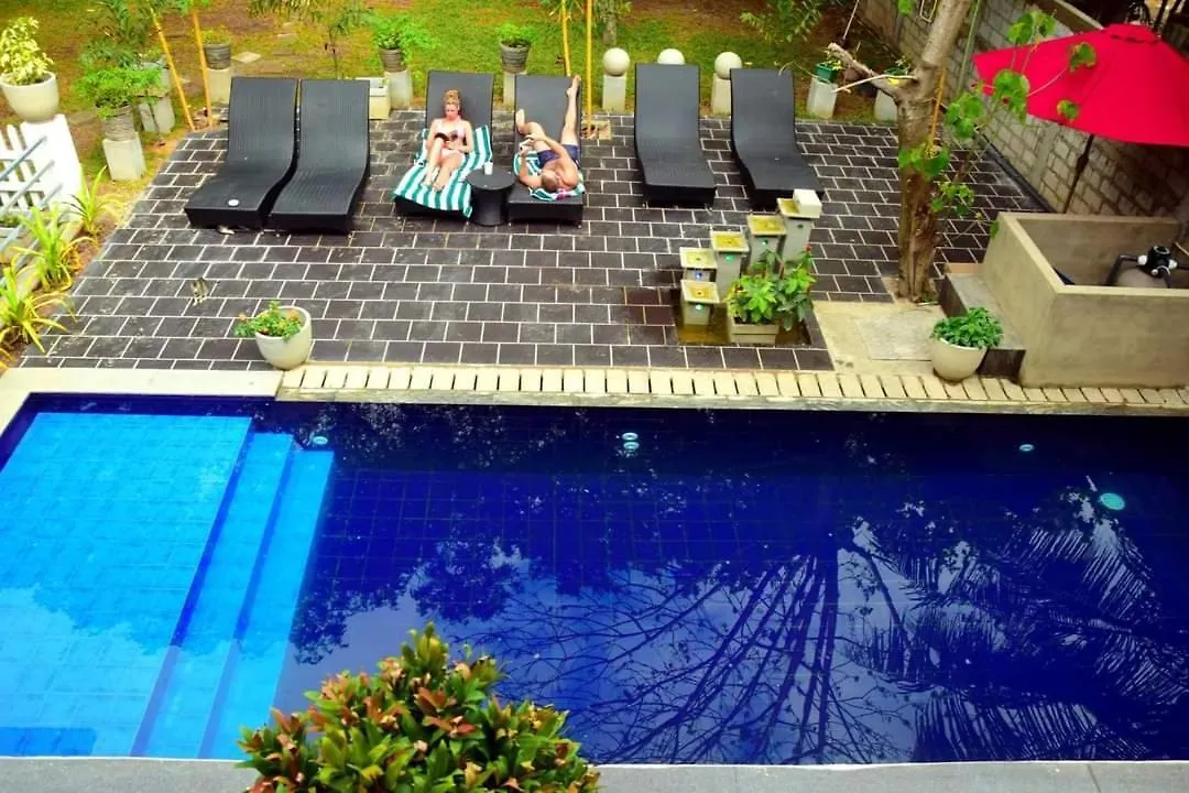Serendib Village Guest House Negombo Sri Lanka