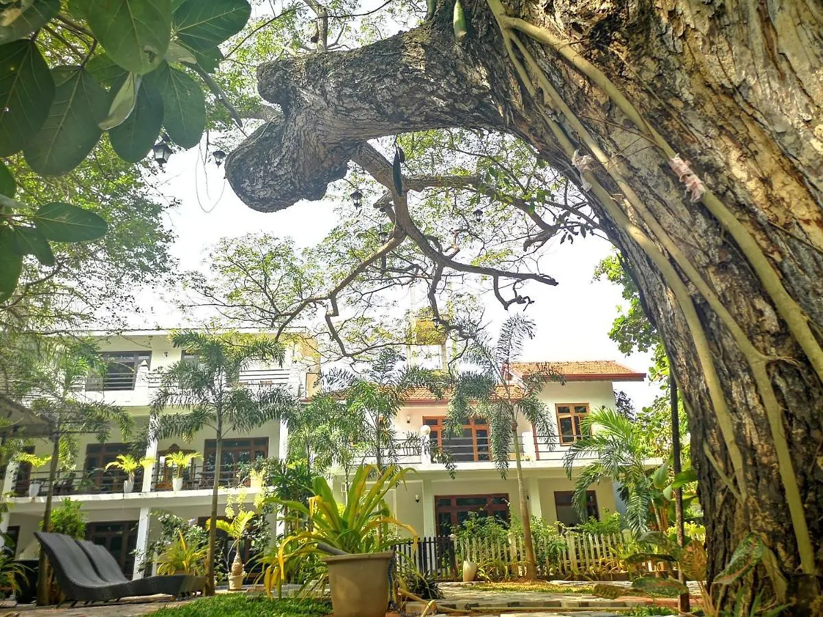 Serendib Village Guest House Negombo Sri Lanka