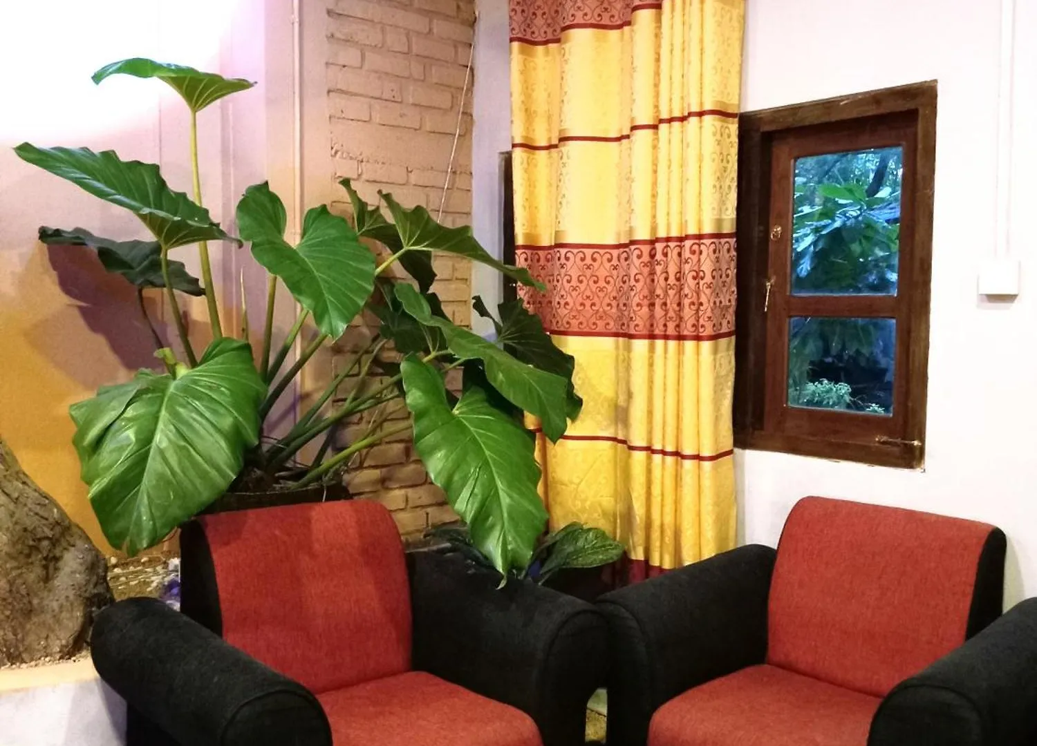 Serendib Village Guest House Negombo