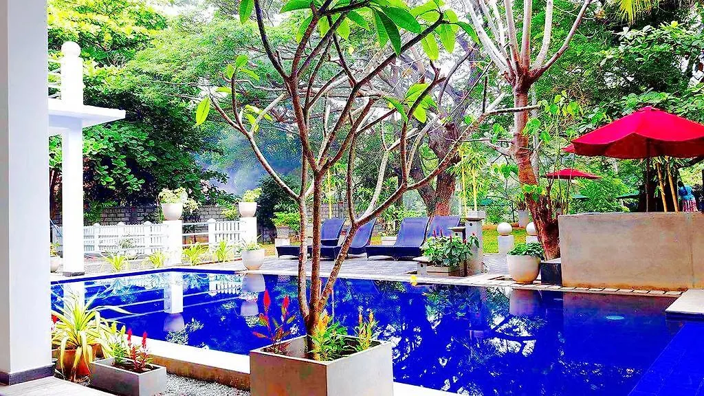 Serendib Village Guest House Negombo 3*,  Sri Lanka