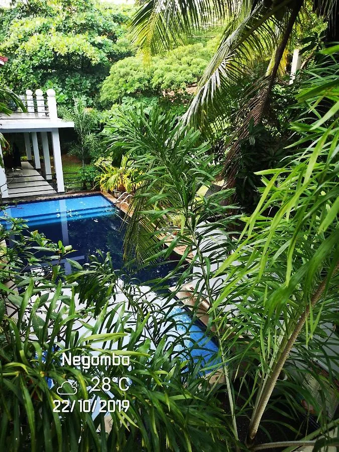 ***  Serendib Village Guest House Negombo Šrí Lanka