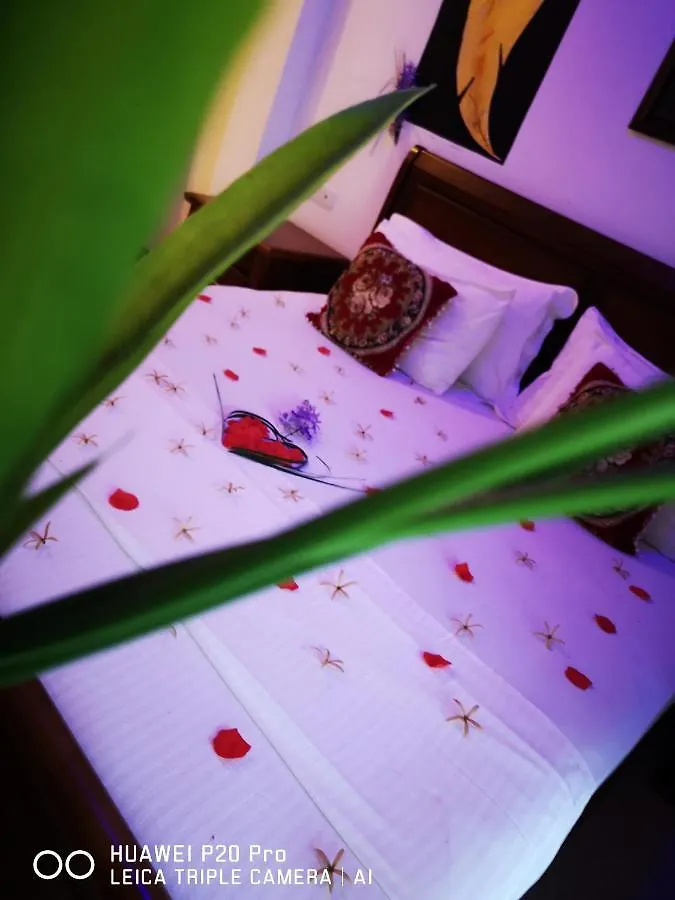 Serendib Village Guest House Negombo Sri Lanka